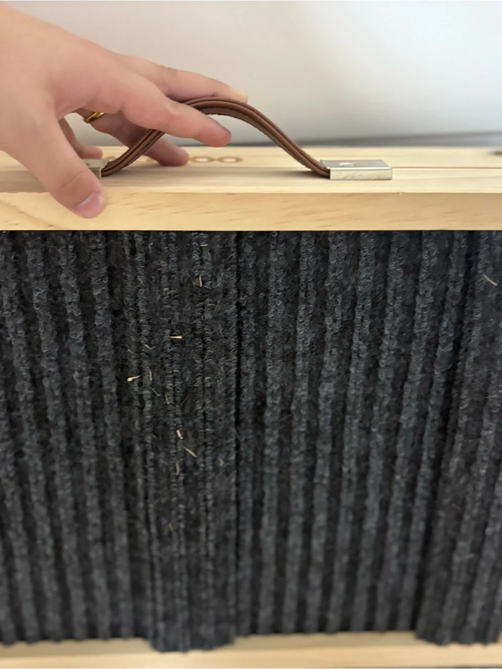 Dog ramp